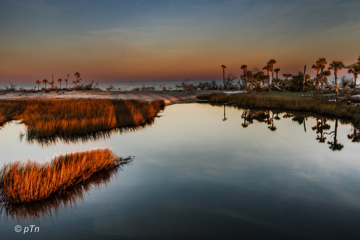 Boneyard Beach | Hunting Island State Park