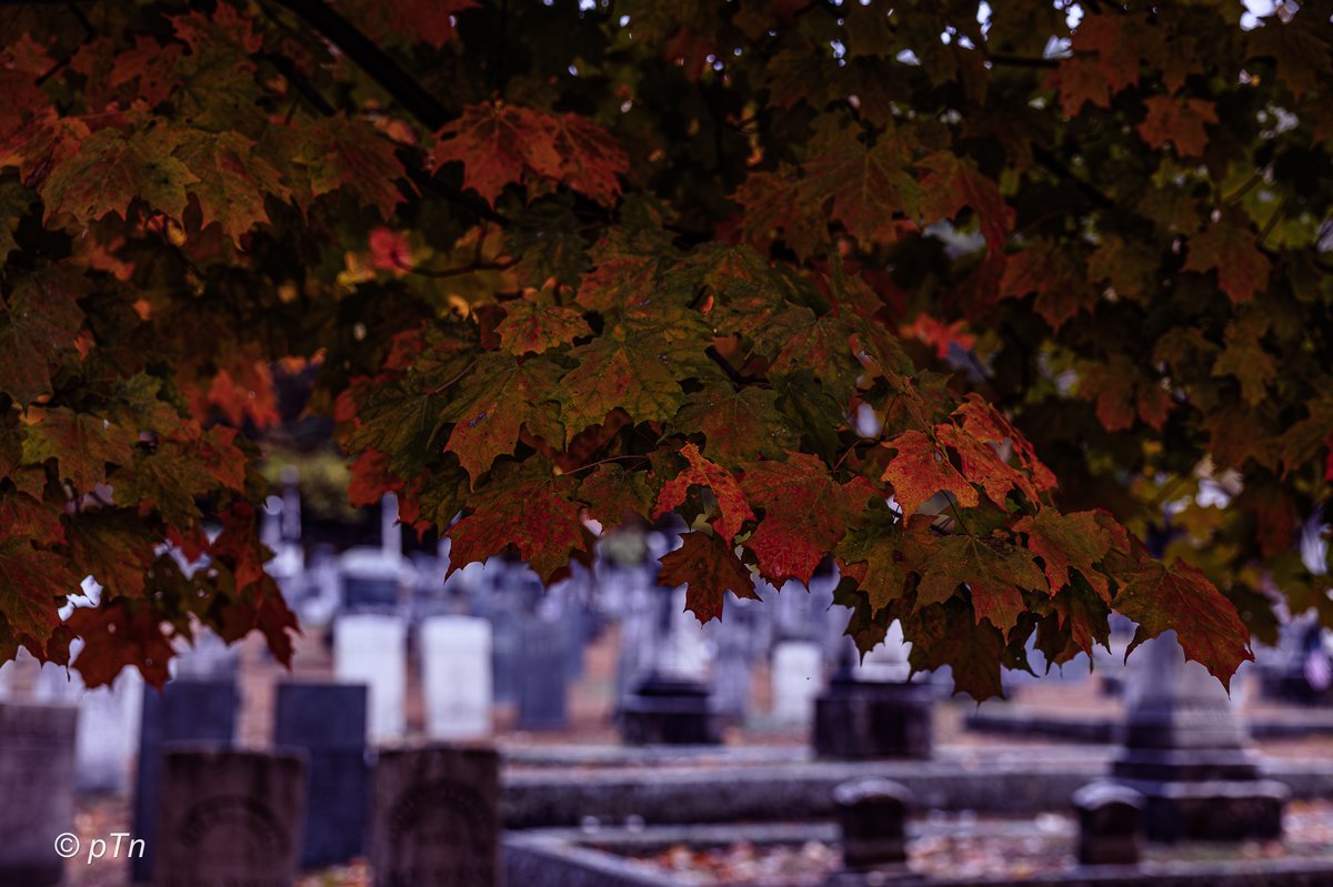 To every season