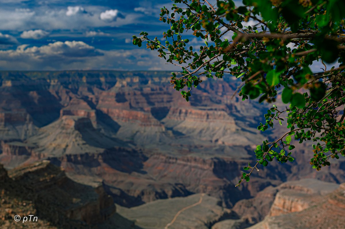 Top of the South Rim