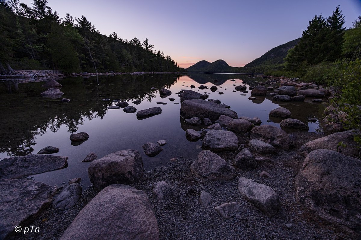 Early June dusk