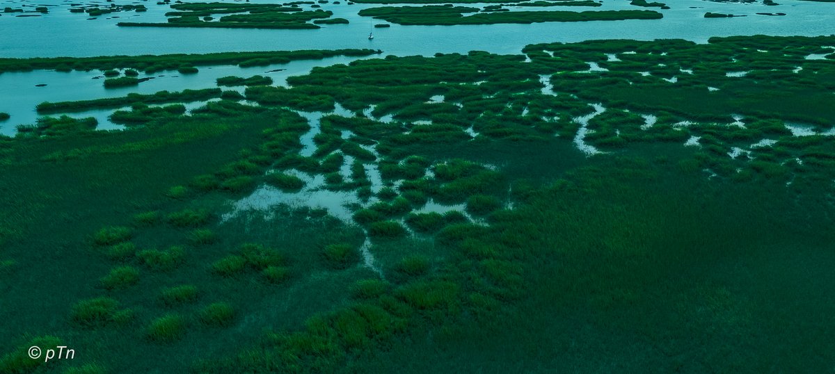 DJI_20241009084142_0441_D
