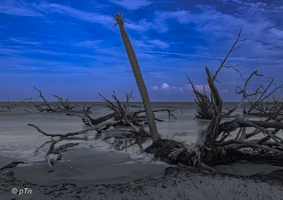 HuntingIsland-152
