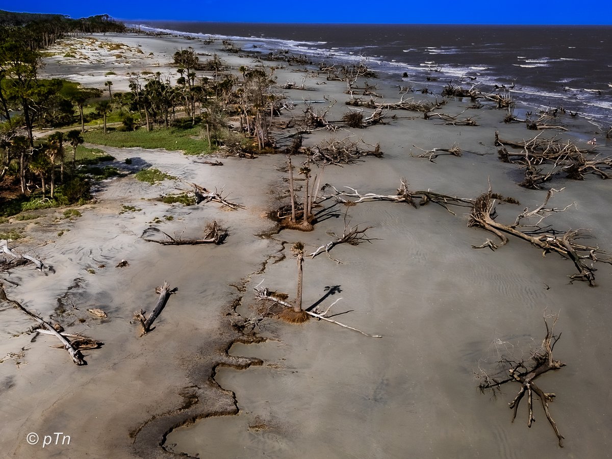 HuntingIslandSP-39
