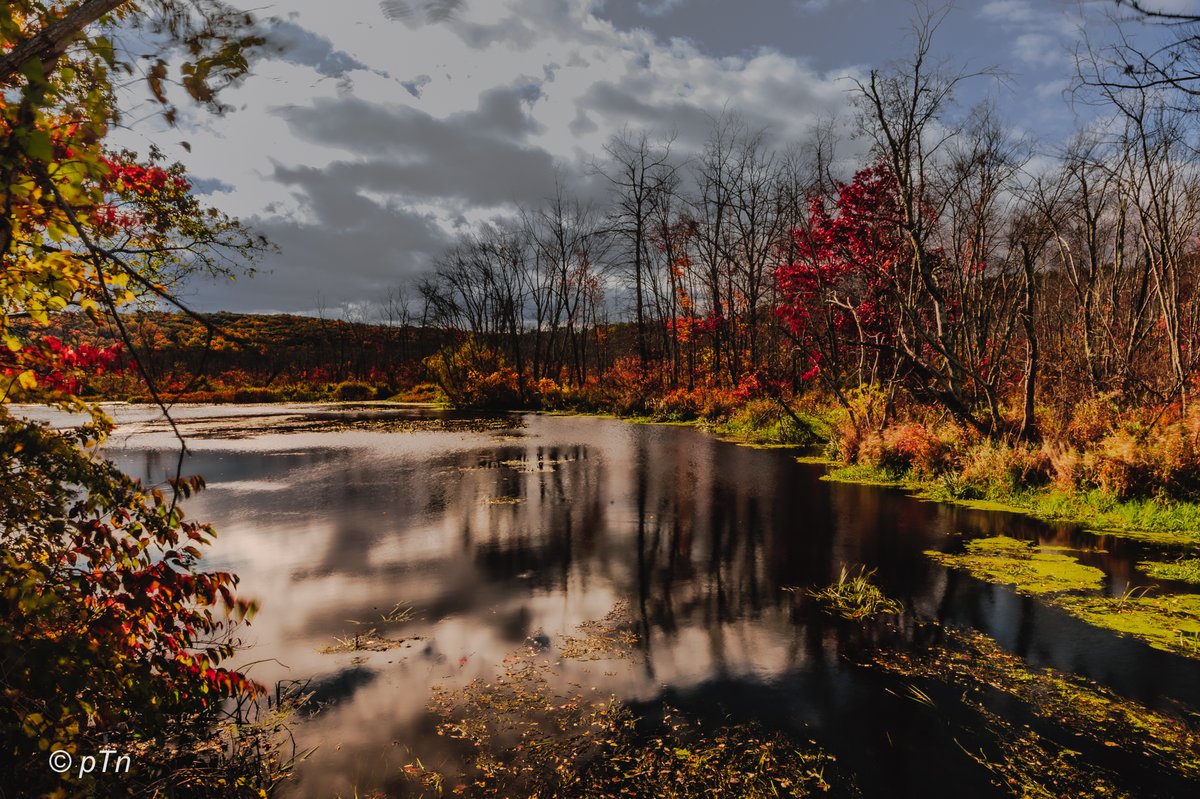 Touch of fall | Lamington River