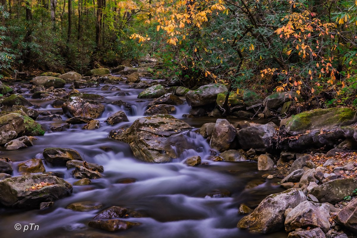 Early fall | Jones Gap